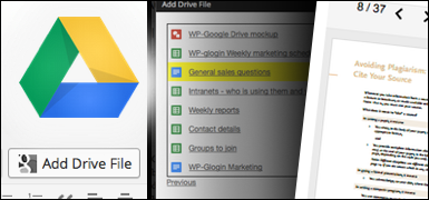 - WP-G Google Drive Embedder